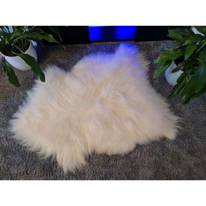 Ivory/White Icelandic 125cm