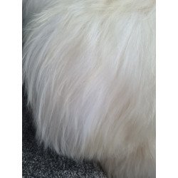 Ivory/White Icelandic 125cm