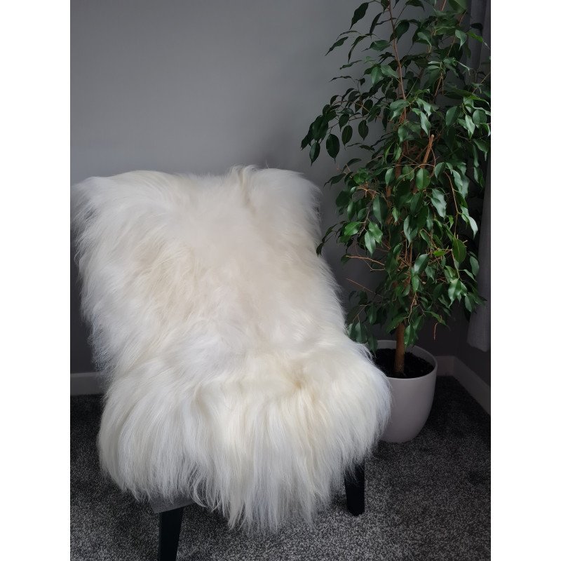 Ivory/White Icelandic 130cm