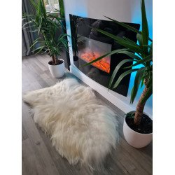 Ivory/White Icelandic 130cm