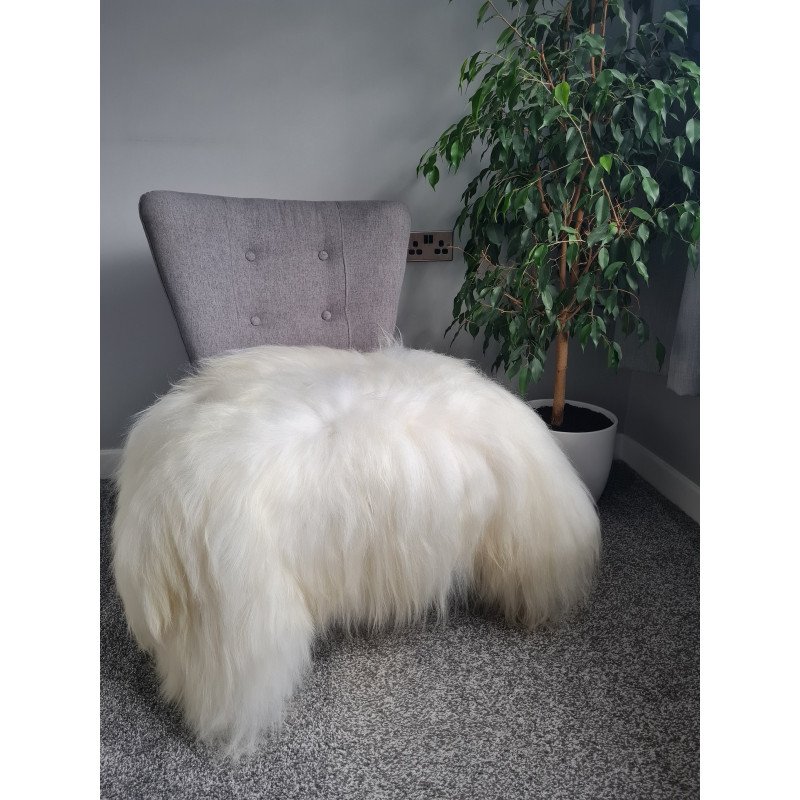 Ivory/White Icelandic130-140cm