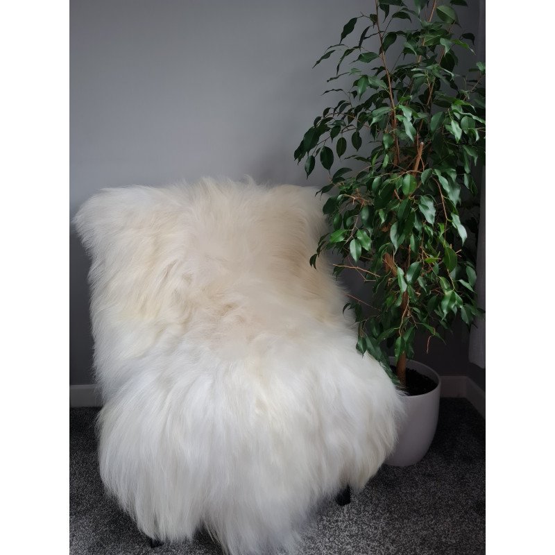 Ivory/White Icelandic140-150cm