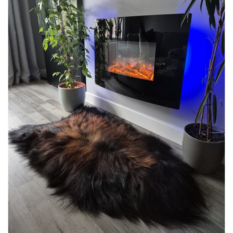 Icelandic with Brown/Fox Tips