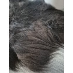 Black/Brown Icelandic - 135cm long