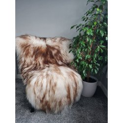 Brown Tips 120 - 150cm