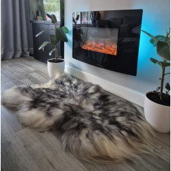 Icelandic with Black...