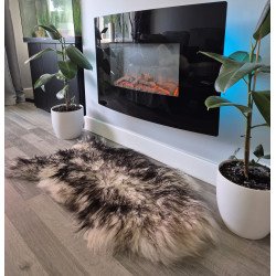 Curly Icelandic with Black...