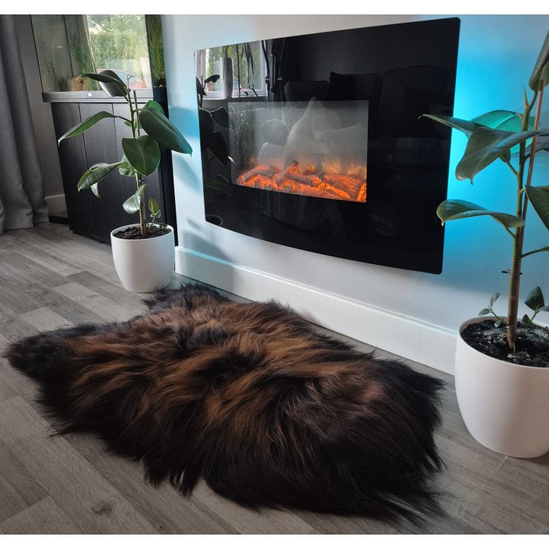 Icelandic with Brown/Fox Tips