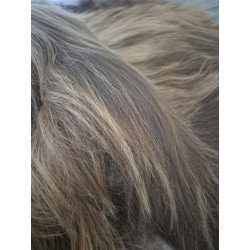 Unique Brown/Fox -140cm long