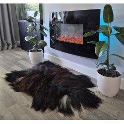 Black Icelandic with...