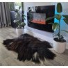 Black Icelandic with brown/fox tips